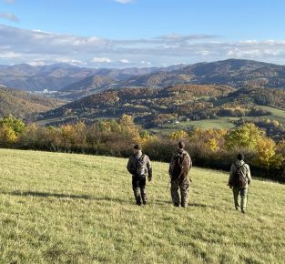 CyberTracker Trailing Evaluierung Slowakei