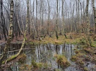 E8 - Alternative Wegführung in der Kleinen Karpaten 