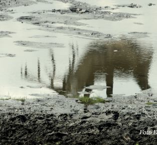 Lehrgang Trailing Polen