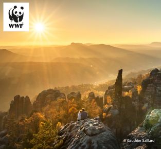 Naturfotografie in der Sächsischen Schweiz 