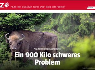 Taz-Artikel: "Ein 900 Kilo schweres Problem"